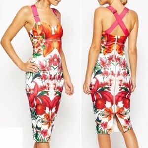 Ted Baker Jameela Tropical Toucan Bodycon Dress Size 1 .